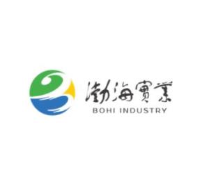 山東渤海實業股份