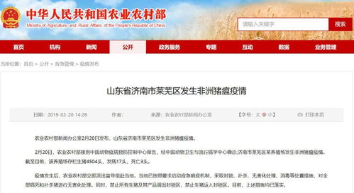 山東 河北相繼中招,一周5起非瘟疫情,農業農村部發文落實疫情補助并明確表示非瘟不影響豬肉食品安全