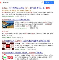 seo 前途在哪里