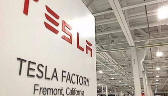 探秘特斯拉加州工廠,車聚君獻上三個獨家內幕 聚焦